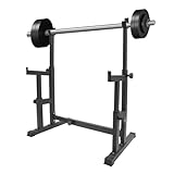 Hantelscheibenständer Squat Rack Höhenverstellbar 85-120cm Hantelständer bis 250 kg Belastbar Hantelablage Langhantelständer Verstärkte Langhantelablage Heim-Trainingsgerät Home-Gym Hantelablage