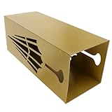 OUNONA Schirm Eimer Regenschirme Veranstalter Halter für Schirmständer Schirmhalter Schirmständer für Eingangsbereich Schirmständer fürs Büro Eisen Golden