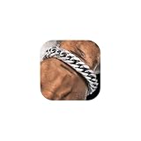 Richsteel Edelstahl Panzerkette Armband 12mm Cuban Gliederarmband Hip pop Armskette in 21cm lang Herren Jungen Partnerarmband für Geburtstag Weihnachten