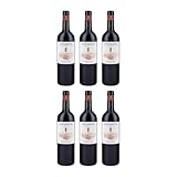 Los Vascos Chagual Cabernet Sauvignon Rotwein Rot trocken BIO Chile inkl. FeinWert E-Book (6 x 0.75 l)