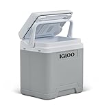 IGLOO IE27 AC/DC elektrische Kühlbox, 27 Liter, Mini-Kühlschrank 12/230 V für Auto, Boot und Freizeit, grau