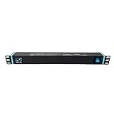 Infitronic - INSV1002A-19 Zoll PDU Steckdosenleiste Stromverteiler Rackleuchte 8 Fach 1 HE mit 2 x USB Charging/Schalter