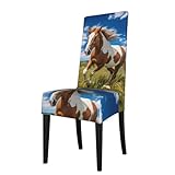 BROLEO Abnehmbare Esszimmerstuhlhussen mit Pferden auf dem Bild der Prärie – weich, bequem, knitterfrei, kein Bügeln erforderlich, dehnbar, für die meisten armlosen Stühle