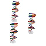 HANABASS 3 Sätze DNA Modell Bausatz für Doppelhelix DNA Struktur Pädagogisches Lernspielzeug für Biologieunterricht Wissenschaftliche Lehrmittel für Schule und Zuhause