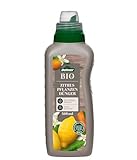 Dehner Bio Zitruspflanzendünger, hochwertiger Flüssigdünger für Zitruspflanzen, organischer NK-Dünger, ökologisch wertvoll, 500 ml, für ca. 75 l, bunt