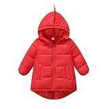 AYSDSKI Unisex Kinder Winterjacke Niedlich Mädchen Jungen Steppjacke Full Zip Daunenjacke Langarm Warm Baumwolljacke Steppmantel mit Taschen Pufferjacke