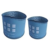 TingHaoO Korrosionsbeständige Eisenbehälter, Metall-Anzuchttöpfe für Anzucht-Design, tragbare Pflanzen-Präsentation, verwitterte Metall-Blumentöpfe