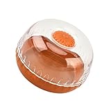 GAOFESA Durchsichtige, auslaufsichere Aufbewahrungsbox für Obst, Gemüse, spülmaschinenfest, Organizer für Zwiebeln, Käse, Zuhause, spülmaschinenfest, Produktbehälter