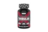Weider - Premium Tribulus - Hochdosierter Tribulus Terrestris Extrakt - 1800 mg pro Portion - Mit Zink, Fitness Booster - 90 Kapseln