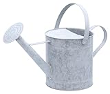 Agrarflora Zinkgießkanne 6 Liter - langlebige Metallgießkanne - Altzink Blumengießkanne mit abnehmarer Brause - dekorative Zink Gießkanne, zur Bewässerung von Blumen und Pflanzen
