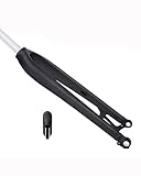 Fahrrad-Vorderradgabel MEROCA Mountainbike-Hartgabel mit interner Kabelführung, Scheibenbremse, kompatibel mit 26 27,5 29 Zoll Rädern, Schnellspanner/Steckachse Mtb Federgabel(Barrel axle version hard