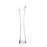 Kleine Blumenvase, hoch, dünn, schmaler Hals, Glasvasen, transparent, Mini-Öffnung, Einzelstielvasen für dekorative Heimdekoration, Wohnzimmer, Büro und Tafelaufsätze, 25 cm