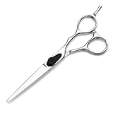 Healifty 2 Stück Haarschneidescheren 5,5 Zoll aus Rostfreiem Edelstahl Professionelle Friseurschere mit Gerader Klinge und Effilierschere für Salon und Heimgebrauch