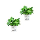 BESTonZON 2 STÜCK Selbstbewässernder Blumentopf mit Wasserspeicher Kunststoff Lazy Flower Pot mit Baumwolldocht Hitze und Kältebeständig für Sukkulenten Zimmerpflanzen Garten und Büro