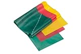 Theraband Professionelle Latex-Widerstandsbänder für Oberkörper, Unterkörper, und Rumpfübungen, Physiotherapie, Pilates, Heimtraining und Reha, 20403, Yellow/Red/Green - Beginner Set,