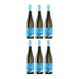 Winzergenossenschaft Herxheim am Berg Alkoholfrei Blanc Weisswein weiss lieblich Deutschland inkl. FeinWert E-Book (6 x 0.75 l)
