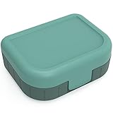 Rotho Memory Kids Vesperdose 1l, lebensmittelechter Kunststoff (PP) BPA-frei, grün, 1l (16.6 x 13.3 x 6.1 cm), Waldgrün, Nicht zutreffend