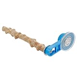 BESTonZON Vogel Sitzstange mit Saugnapf Holz Barsch Robust rutschfest für Papageien Wellensittiche Käfig Zubehör Fensterbefestigung