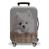 LNXSESN Kofferschutzhülle Beige Creme Weiß Kofferhülle Elastisch Koffer Schutzhülle Waschbar Kofferschutz Langlebig Suitcase Cover mit Reißverschluss Koffer Überzieher kofferüberzug Für 22-25 Zoll