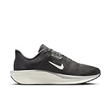 Nike Herren Quest 6 Laufschuh, Medium Ash/Sail/College Grey/L, 41 EU
