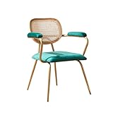 Rattanstuhl Moderner Esszimmerstuhl aus Rattan mit elegantem Metallrahmen und gepolstertem Sitz, leicht und tragbar, Rattansessel für Wohnzimmer, Schlafzimmer, Garten und Balkon Stuhl Vi