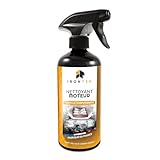 Motorreiniger, Spray, 500 ml