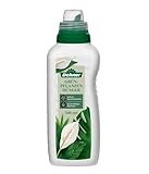 Dehner Grünpflanzendünger, hochwertiger Flüssigdünger, Dünger für Grünpflanzen, organischer NPK-Dünger, mit Spurennährstoffen, 500 ml, für ca. 100 l, bunt