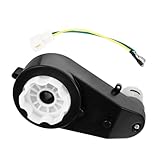 ifundom Elektromotor Getriebegehäuse für Elektroautos Langlebig und Stabil für Reparaturen und Ersatzteile Passend für Junge Fahrzeuge