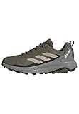 adidas Herren Terrex Anylander Hiking Shoes Wanderschuhe, Olive Strata/Wonder Beige/Core Black, 42 EU