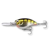LMAB Crankbait 5,5 cm Power Vibe 55F - 3 Lauftiefen, Floating - Wobbler Barsch, Crankbait Wobbler, Kunstköder Angeln, Barsch Wobbler, Spinnfischen Köder (Real Perch, DR | Lauftiefe 3-4 m | 14 Gramm)