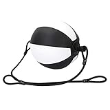 Speed ​​Ball Boxing Training Ball | Stanztasche für Geschwindigkeit & Genauigkeit | Hängende Seile für Boxen/Kickboxen/Freestyle -Kämpfe | Resilient PU Leder, robust und