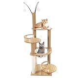 Katzenklettergerüst mit Katzenhaus, Hängematte, 2 Plattformen, Katzenkratzbaum, abnehmbarem Plüschball und lustigem Katzenkletterbaum, 4-stufiger Katzenständer