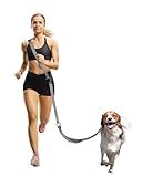 WANFIRE Freihändige Hundeleine, Crossbody-Hundeleine, 1,6–2,4 m, Hüftgurt mit Autosicherheitsgurt und doppelseitiger Reflektor, Spazierengehen, Joggen, Wandern, Reisen usw. (Grau)