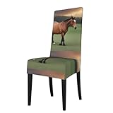 BROLEO Abnehmbare Esszimmerstuhlbezüge, Motiv: Pferde, weich, bequem, knitterfrei, kein Bügeln erforderlich, dehnbar, für die meisten Armlehnenstühle