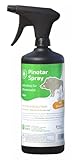 Habee GmbH Pinotar Spray - Buchenholzteer Plus mit Pinienöl 1 Liter