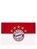 FC Bayern München Fahne I Logo I Rot-Weiß I 90 x 60 cm I Fußball