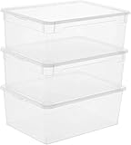 Rotho Clear 3er-Set Aufbewahrungsbox 10l mit Deckel, Kunststoff (PP) BPA-frei, transparent, 3 x 10l (36,0 x 26,0 x 14,0 cm)