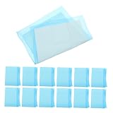 SUPVOX 20 Stück Pet Pee Mat Puppy Pads Dogs Pads Doggy Pee Pads Pet Pads Dog Potty Pads Potting Training Pads Dog Pads for Small Dogs Doggie Pads Pee Pads Cat Pads Sky Blue Non-woven Fabric