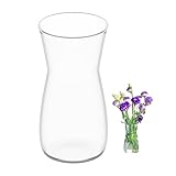 Blumenvase Glas, Klarglas Vase, 20CM Hoch Glasvase für Tischdeko, Dekorative Vase für Pampasgras, Tulpen, Orchideen, Rosen, Trockenblumen (Transparente)
