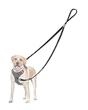 PetBonus No Pull Anti-Zieh Hundeleine, Keine Verwicklung Doppelleine für Anti-Zug Geschirr, Reflektierend Hundeleine zum Trainieren und Gassi gehen für große mittlere Hunde (Schwarz)