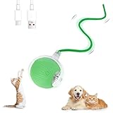 Farerkass Interaktives Katzenspielzeug Ball, Hundespielzeug, Pet Hundeball Elektrisch, Smart Automatisch Rollender Ball für Katzen und Hunde(Grün)