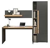 Furn.Design Büromöbel Set in grau matt und Wotan Eiche Holz modern mit Schreibtisch, Aktenschrank, Wandregal, Standregal für Homeoffice und Büro Schreibtisch mit Stauraum Center (Set 3)