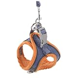 Toddmomy Atmungsaktives Verstellbares Katzen Hunde brustgeschirr aus Weichem Mikrofaser Suede Langlebig mit Edelstahl Haken Geeignet für Welpen und Katzen Sicherer Sitz Beim Spaziergang