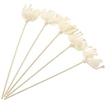TOBBOMEY 5 Stück Teiliges Getrocknete Natürliche Aromatherapie Diffuser Sticks mit Dekorativen Blumen Sicherer Duftstäbchen raumduft für Wohnzimmer Schlafzimmer Büro Badezimmer