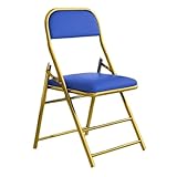 Klappstühle aus Metall, gepolstert, Kunstleder, mit Rückenlehne, tragbar, für Garten, Camping, Büro und Schreibtisch, ideal für Besucher und Veranstaltungen