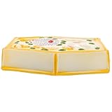 Mikinona Pflanzenzellenmodell Anatomisches Lehrmodell Biologie Unterricht Vergrößertes Pflanzenzellmodell für Mittelschule Wissenschaftsausstellung und Labor Demonstration