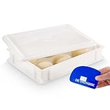 DIE BOX FABRIK 1 Pizzaballenbox Gusto + 1 Deckel, 40x30x7 cm | Gärbox, Teigwanne für Pizzateig. Teigbox für 6 Pizzaballen, Pizzateigbehälter (1 Gusto Box + 1 Deckel)