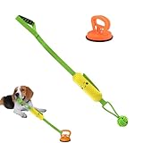 Generico Hundespielzeug Tauzieher, Klangball zur Anreicherung und Stimulation – Spielzeug für Welpen – Langeweile Spiel drinnen und draußen Training