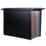 Hängeregister-Ordner, 13 Fächer, große Kapazität, A4-Format, Hängeregister-Organizer, 13, 8 Zoll, ausziehbarer Ordner-Organizer mit Laschen, Hängeordner mit zwei Haken für Akten, Schrank, Stil 1