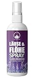 Saint Nutrition® Läuse & Flöhe Spray – Flohmittel Hund, Katze - mit Langzeitschutz vor Flöhen, Läusen & Milben – Sanft zu Haut & Fell – Flohspray für Wohnung und Möbel, Ideal für Hunde & Katzen, 100ml